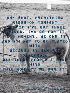 a black and white photo of a cow with the words, one shot everything rides on tonight