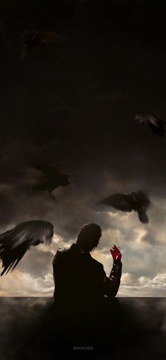 a man sitting in front of a flock of birds on top of a cloudy sky