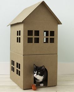 a black and white cat sitting in a cardboard house