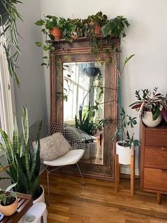 a mirror sitting on top of a wooden shelf next to plants and potted plants