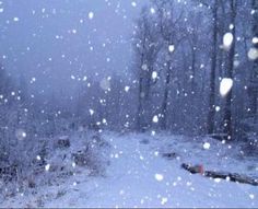 a snow covered road with trees and the words daylight starfall - snow on it