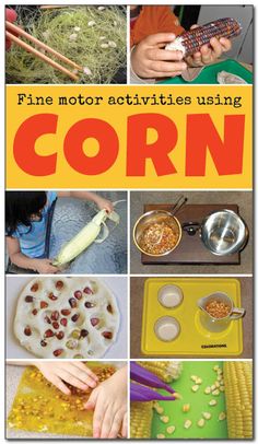 a book cover with pictures of corn and other things to make it look like they are making