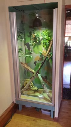 a glass display case with plants in it