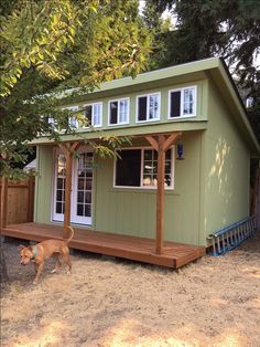 a dog is walking in front of a small green house with white windows and doors