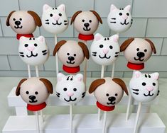 there are many cake pops with dogs and cats on them in the shape of heads