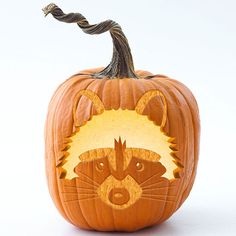 a carved pumpkin with a raccoon face on it