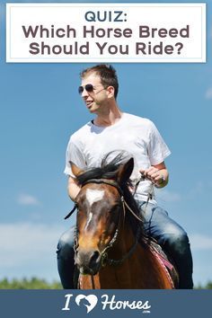 a man riding on the back of a brown horse with text reading quiz which horse breed should you ride?