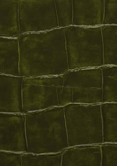 an alligator skin pattern in dark green