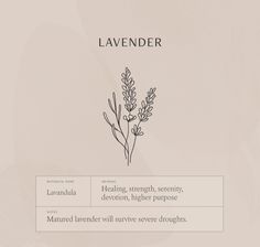 the word lavender is written in black and white