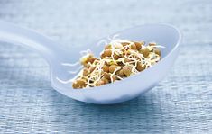 a spoon filled with sprouts and nuts on top of a blue table cloth