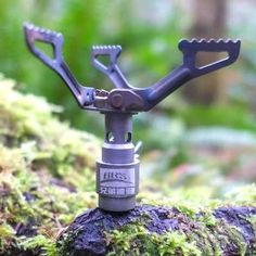 a couple of scissors are sitting on top of a tree branch in the woods with moss