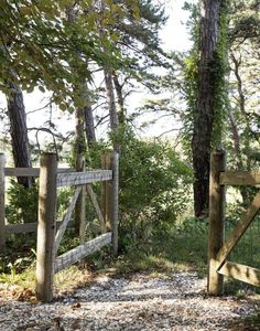 an open wooden gate in the middle of a forest