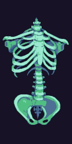 an image of a skeleton in the dark