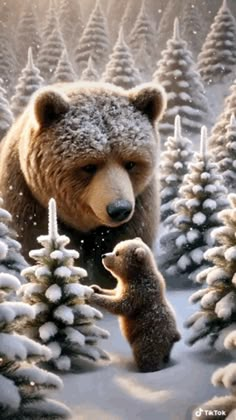 a brown bear standing next to a baby bear in front of snow covered pine trees