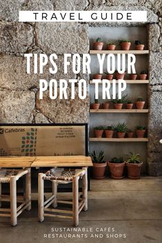 a table with potted plants on it in front of a stone wall and shelves