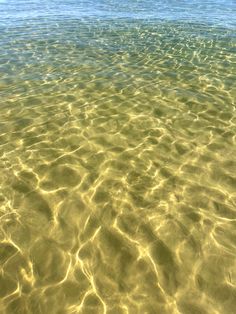 the water is so clear that it appears to be reflecting light from the sun's rays