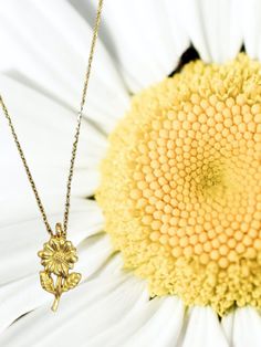 This gold daisy pendant necklace is beautiful. It is great for those who love flowers. It is on a 16 inch thin gold plated stainless steel chain with a 3 inch extender for adjusting size. Comes in a gift box. Birthday Necklace Gift, Daisy Pendant, Flower Charm Necklace, Floral Gifts, Friendship Gifts, Flower Charm, Flower Pendant, Love Flowers, Daisy Flower