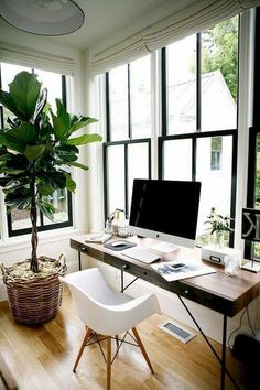 a desk with a computer and a plant in front of it on top of a hard wood floor