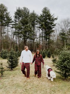 a man and woman are walking their dogs through the woods with christmas trees in tow