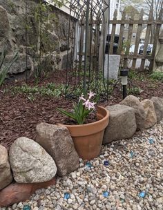 a potted plant sitting on top of a pile of rocks next to a fence