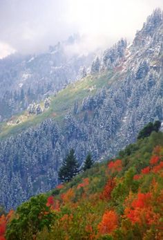 the mountains are covered in snow and trees with orange leaves on them, as well as clouds