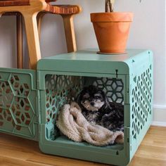 a small dog laying in a crate on the floor next to a potted plant