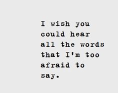 the words i wish you could hear all the words that i'm too afraid to say