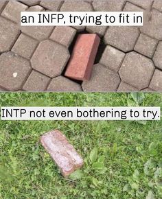 Intp Vs Infp, Intp Facts, Personalidad Enfp, 16 Personality Types, Introvert Extrovert, Free Personality Test