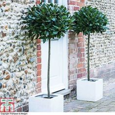 two white planters sitting next to each other in front of a brick building