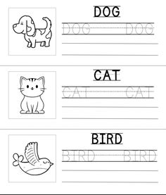 printable worksheet with pictures of animals and letters for children to practice their handwriting