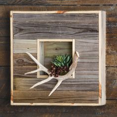 a wooden frame with a succulent plant in it