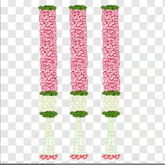 three pink flowers with green leaves on the stems, flower, decoration png and psd