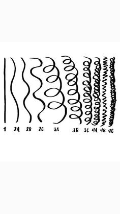 Curl Type Chart, Hair Type Chart, Curly Hair Types, Curly Girl Method, Curl Pattern, Black Curly Hair, Beautiful Curls, Types Of Curls, Curly Hair Care