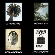 four different types of posters with palm trees in the background