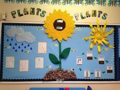 a bulletin board decorated with flowers and raindrops for the classroom's environment