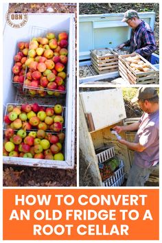 how to convert an old fridge to a root cellar with pictures and text overlay