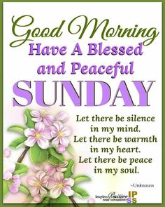 good morning have a blessed and peaceful sunday