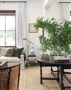 a living room filled with furniture and a potted plant on top of a table