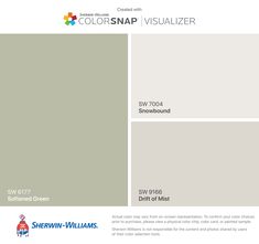 the colorsnap visualizer is shown in gray and white, with different shades