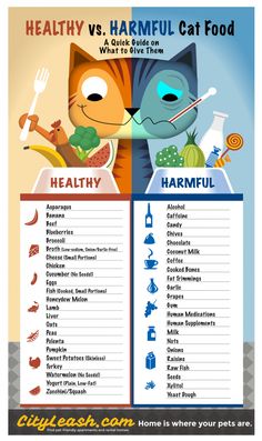 a poster with the words healthy versus harmul cat food and what to eat them