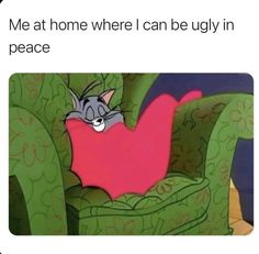 a cartoon cat laying on top of a green chair with the caption me at home where i can be ugly in peace