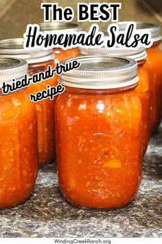 the best homemade salsa recipe in a jar with text overlay that reads, the best homemade salsa tried and true recipe