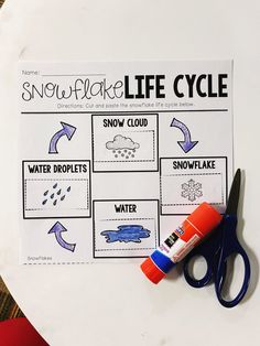 a snowflake life cycle is shown with scissors and glue on the table next to it