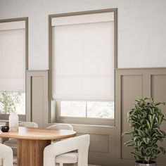 a dining room table with chairs and a potted plant in front of two windows