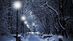 a snow covered park with benches and street lights in the distance, at night time