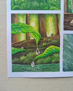 four different pictures of trees and water with green leaves in the foreground, one showing raindrops