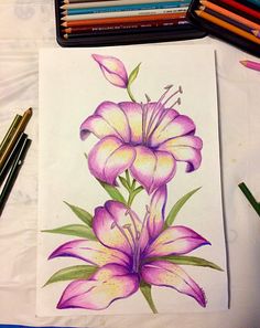 a drawing of purple flowers with colored pencils next to it