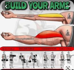 an image of how to build your arms