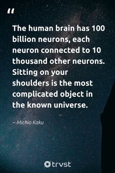 the human brain has 100 billion neurons, each neuron connected to 10 thious on your shoulders is the most complicated object in the known universe