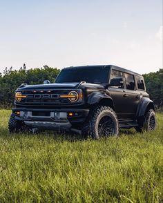 a black truck is parked in the grass